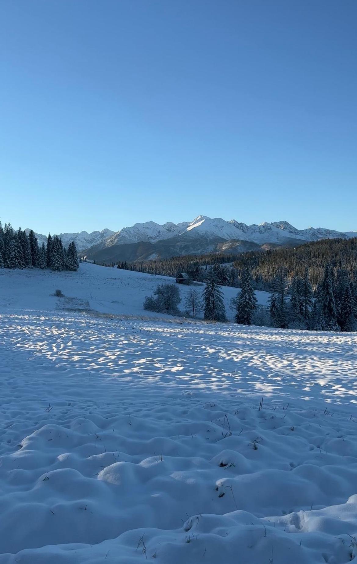 Appartamento Tatra Widok Bukowina Tatrzańska Esterno foto